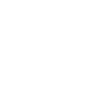 github logo icon